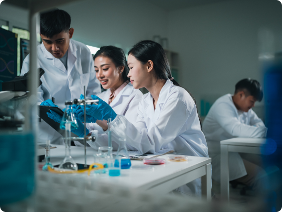 글로벌 인재육성 이미지