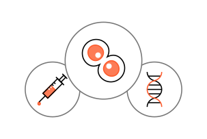 Stem Cell Platform <br class='mo' />