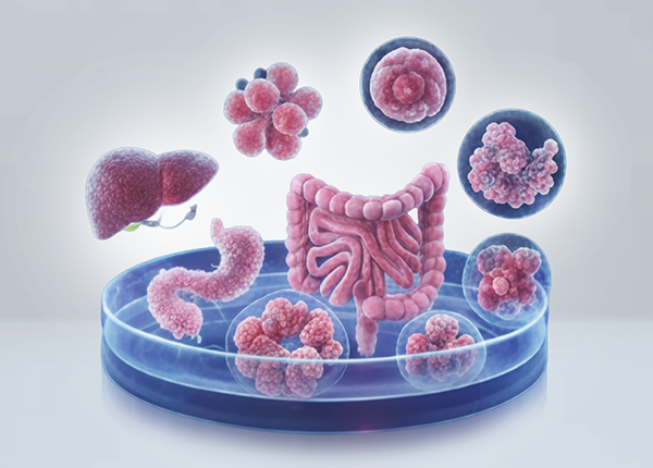 Next-Generation Bio Platform