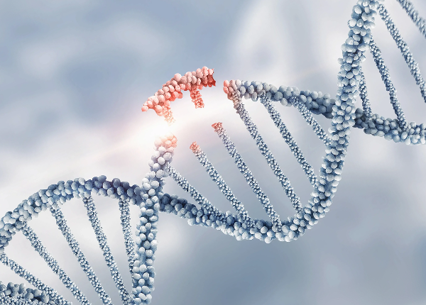 Next-Generation Gene Editing Capabilities