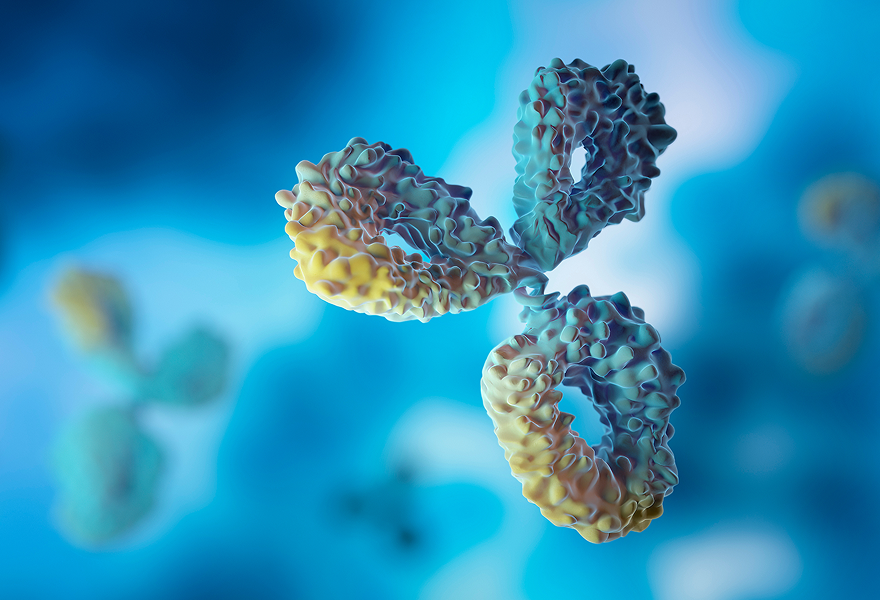 Antibody-based biologics