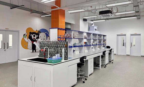 ITB DDS Research Institute