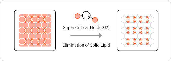 Super Critical Fluid(CO2) Elimination of Solid Lipid